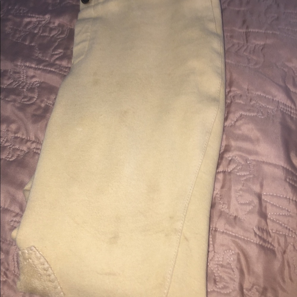 Ariat riding pants